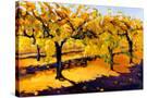 Stretched Canvas