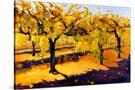 Stretched Canvas