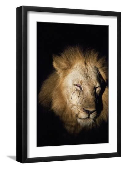 Premium Photographic Print, , large