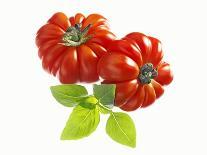 Two Beefsteak Tomatoes with Basil Leaves-Janez Puksic-Mounted Photographic Print