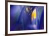 Jangal-WTN Photography-Framed Giclee Print