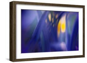 Jangal-WTN Photography-Framed Giclee Print