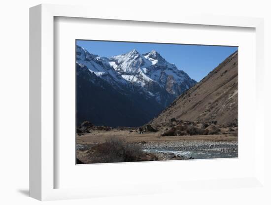 Jangothang valley, Thimpu District, Bhutan, Himalayas, Asia-Alex Treadway-Framed Photographic Print