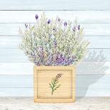 Lavender & Wood Planter Home-Janice Gaynor-Art Print