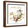 Brown Frame