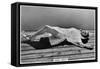 Janice Jarratt, American Actress, 1938-null-Framed Stretched Canvas