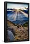 Essential Black