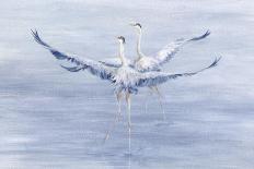 Egret Essemble-Janie Howe-Stretched Canvas