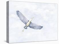 Egret Essemble-Janie Howe-Stretched Canvas