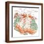 Brown Frame