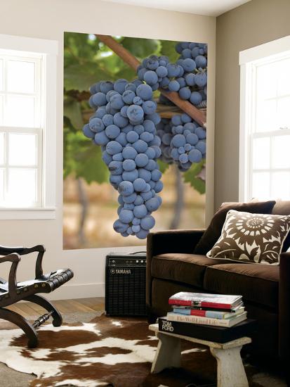Giant Art Print, , large