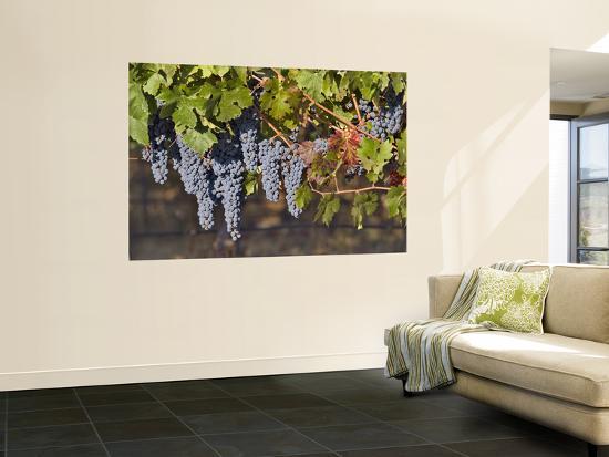 Giant Art Print, , large