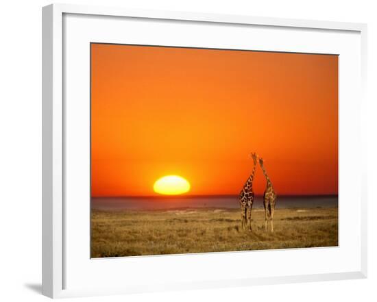 Framed Photographic Print, , large