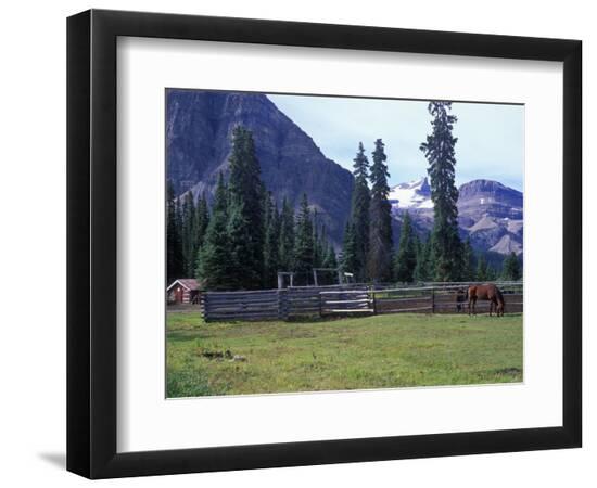 Premium Photographic Print, , large