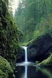 Punch Bowl Falls, Eagle Creek, Columbia River Gorge Scenic Area, Oregon, USA-Janis Miglavs-Photographic Print