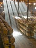 Shafts of Light in Barrel Room of Montevina Winery, Shenandoah Valley, California, USA-Janis Miglavs-Photographic Print