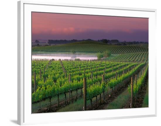 Framed Photographic Print, , large
