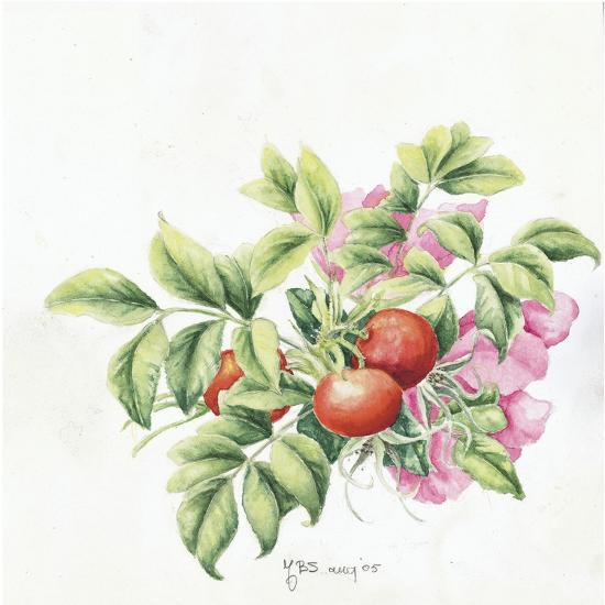 Giclee Print, , large