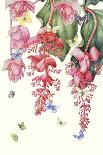 Magnolia Birds-Janneke Brinkman-Salentijn-Giclee Print