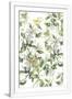 Gramercy White