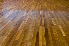 Interior of a Home with Refinished Hardwood Floors.-jannoon028-Photographic Print