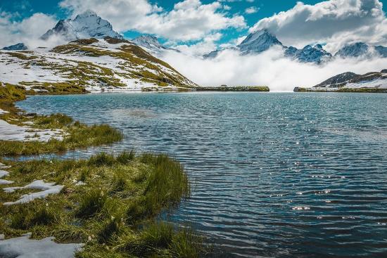 Premium Photographic Print, , large