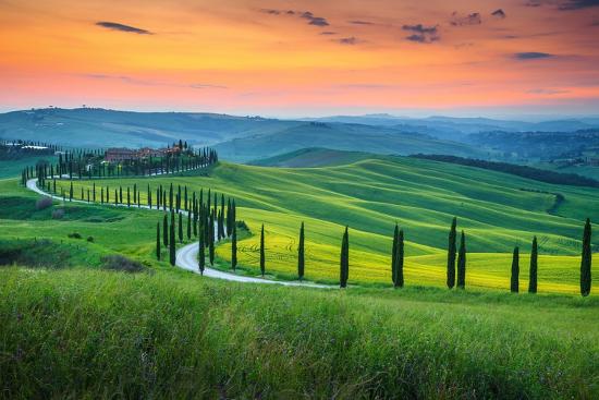 Premium Photographic Print, , large