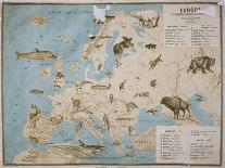 Map of Animals in Europe-Janos Balint-Framed Stretched Canvas