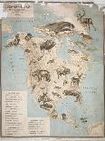 Map of Animals in Africa Sf-Janos Balint-Stretched Canvas