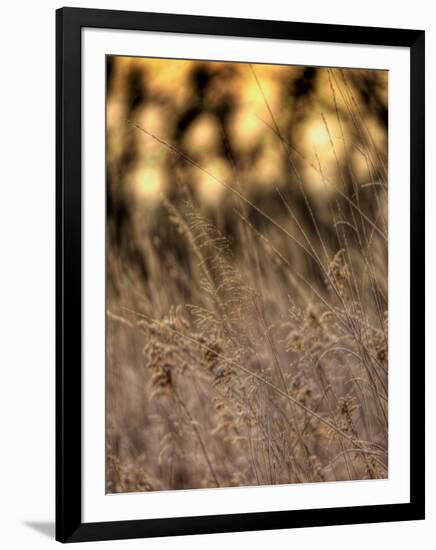 Jante-Jim Crotty-Framed Photographic Print