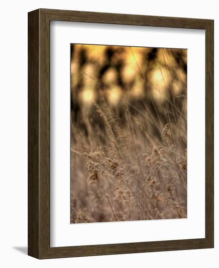 Jante-Jim Crotty-Framed Photographic Print