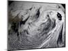 January 2, 2009 - Cloud Simulation of a Single Day Centered over the Middle Pacific-null-Mounted Photographic Print