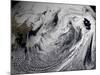 January 2, 2009 - Cloud Simulation of a Single Day Centered over the Middle Pacific-null-Mounted Photographic Print