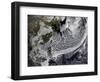 January 2, 2009 - Cloud Simulation of a Single Day Centered over the Western Pacific-null-Framed Photographic Print