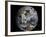 January 2, 2009 - Cloud Simulation of the Full Earth-null-Framed Photographic Print