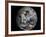 January 2, 2009 - Cloud Simulation of the Full Earth-null-Framed Photographic Print