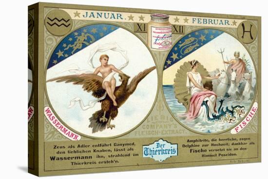 January and February: Aquarius and Pisces-null-Stretched Canvas