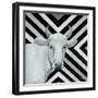 January Cow I-Britt Hallowell-Framed Art Print