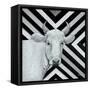 January Cow I-Britt Hallowell-Framed Stretched Canvas