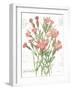 January Dianthus on White-Katie Pertiet-Framed Art Print