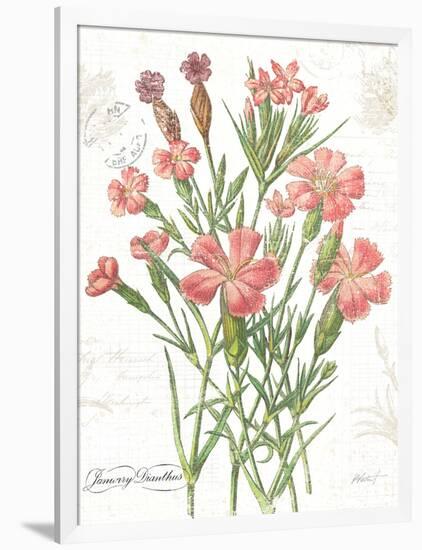 January Dianthus on White-Katie Pertiet-Framed Art Print