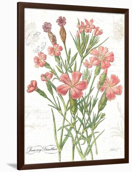 January Dianthus on White-Katie Pertiet-Framed Art Print