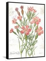 January Dianthus on White-Katie Pertiet-Framed Stretched Canvas