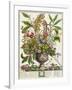 January, from Twelve Months of Flowers, by Robert Furber-Pieter Casteels-Framed Giclee Print