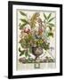 January, from Twelve Months of Flowers, by Robert Furber-Pieter Casteels-Framed Giclee Print