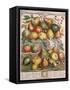 January, from 'Twelve Months of Fruits'-Pieter Casteels-Framed Stretched Canvas