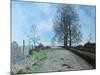 January Landscape, Somerset, 1962-Tristram Paul Hillier-Mounted Giclee Print