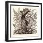 January. Pteris Argentea. Andiantum Formosum. Sarracenia Drummondi. Adiantum Cultratum. Pteris Macr-null-Framed Giclee Print