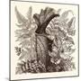 January. Pteris Argentea. Andiantum Formosum. Sarracenia Drummondi. Adiantum Cultratum. Pteris Macr-null-Mounted Giclee Print