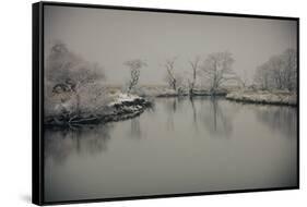 January Still-Valda Bailey-Framed Stretched Canvas